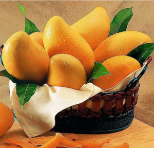Mango Şurubu Sıvı Üreticisi Doğrudan Fiyat Özel Formül Yumuşak Jelibon Üretimi Yüksek Stabilite Çiçeklenme Yok Ücretsiz Numune Teklifi Gıda - Product Image 2