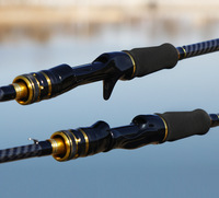 Canne à pêche spinning en fibre de verre 2 sections, puissance M ML, portable, pour la pêche en mer et en eau douce
