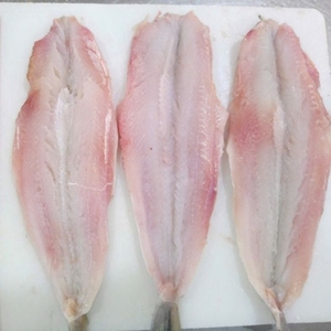 Pez lagarto congelado, pescado salvaje capturado, mariscos Premium, suministro a granel, mayorista, distribuidor de pescado, exportador, supermercado, Horeca, catering - Product Image 4