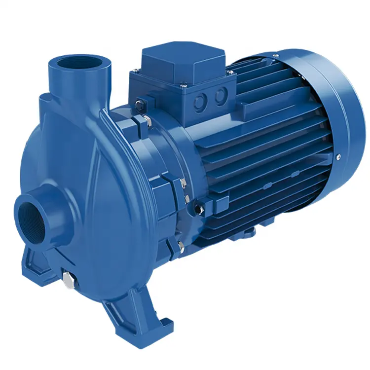 Factory direct sales motor water pump pressurized water pumping machine CP Monoblock Pump for sale