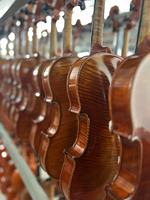 China Violin
