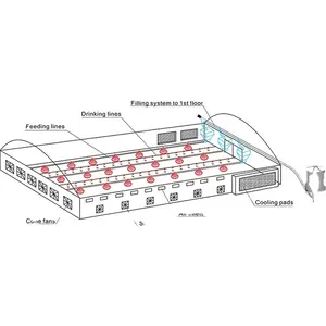 Equipamento agropecuária de galinhas e equipamento de controle de aves/sistema de alimentação de caldeira e sistema de ventilação