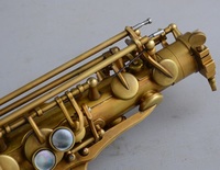 Professional EB Tone Brass Alto Saxophone for Performance