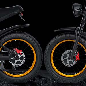 Vélo EU GT-20 avec moteur sans balais 48V 500W, écran LCD, pour la plage et la neige, moto tout-terrain - Product Image 5
