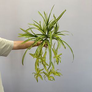 Plante artificielle suspendue Meng Jie en PVC, style naturel, 30cm-100cm, pour décoration intérieure de bureau - Product Image 3