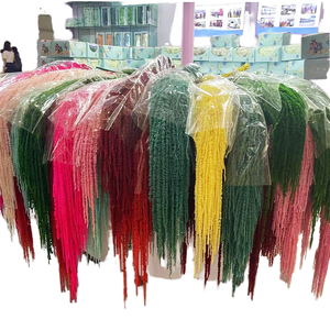 5 Piezas de Amaranto Caudatus Seco Real, <span class=keywords><strong>Blanco</strong></span> y Rojo, para Colgar, Planta Preservada a Granel, Decoración para Arreglos Florales de Halloween y Bodas - Product Image 1