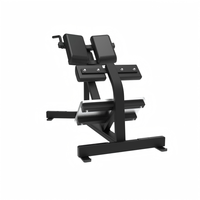 Banc d'hyperextension à 45 degrés pour club de gym, appareil commercial d'extension dorsale pour exercices du bas du dos