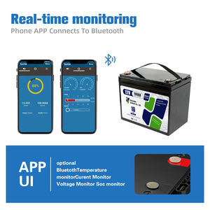 OEM ODM diseño 6000 ciclos 12V 300Ah hogar Lifepo4 baterías desmontable impermeable Lifepo4 células prismáticas bacterias litio - Product Image 5