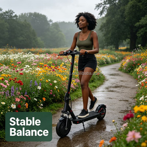 Vélo Électrique Pliant Mini à Deux <span class=keywords><strong>Roues</strong></span> Rush Hour Escape Lithium avec Siège Portable pour Adulte Homme Femme – Idéal pour Éviter les Embouteillonnages et les Trajets Quotidien - Product Image 2