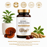 Bonbons gélifiés Premium Reishi Ashwagandha 60 unités Soutien immunitaire pour adultes Soulagement du stress Soutien du sommeil Formule adaptogène Pectine végétalienne