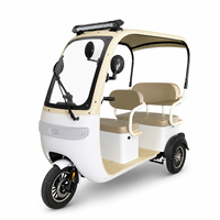 Tricycle Électrique Ouvert SumEV 3 Places pour Visites Touristiques, 60V, avec Auvent Pare-Soleil et Rideau Anti-Pluie, Autonomie 30-50km, Idéal pour le Transport dans les Zones Scéniques et les Complexes Hôteliers