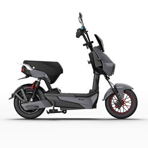 Electric Bicycle - Product Image 2