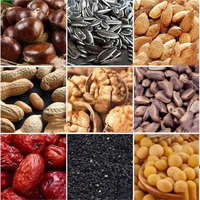 Torréfacteur de grains de café à gaz électrique en acier inoxydable-Machine de torréfaction automatique des noix et des graines