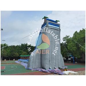 43フィートの巨大なヤシの木型ウォータースライダー、売れ筋商品、インフレータブルウォーターパーク設備、屋外用インフレータブルウォータースライダー - Product Image 5