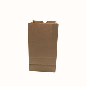 Sacs en papier kraft écologiques et durables avec poignées torsadées pour l'emballage de cadeaux de détail en boutique en Inde - Product Image 4
