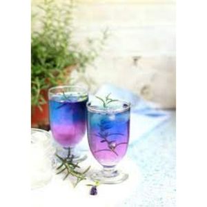 Guisante azul orgánico/mariposa, té-Jolene TT + 84 336089155, gran oferta - Product Image 2