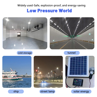 Vente d'usine, ampoule LED A60/G45 basse tension 3W/5W/10W/12W E27/B22 AC/DC 12V-48V IP20 pour éclairage intérieur