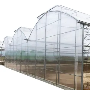Schlussverkauf Bauernhaus für den Anbau von Erdbeeren SUNSGH Gewächshaus china