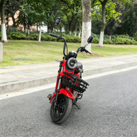 Vélo électrique 60V 500W 800W avec batterie au lithium, moteur sans balais, pneu sous vide 14 pouces, double suspension, vitesse 60 km/h, modèle E Citye EBike