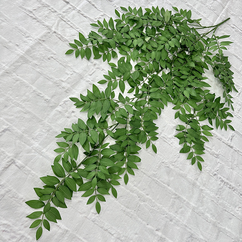 Locust tree leaves hanging