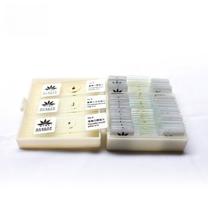 Kit de microscopio educativo para niños Mosquito Mouthpart Slide un espécimen importante en la ciencia médica - Product Image 3