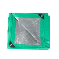 Bâche en PE vierge 100% 180 g/m² verte argentée, enduite et laminée, avec œillets en aluminium renforcés et imperméables, pour couverture de filles