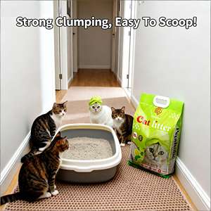 ดงไนเพ็ทส์ ผู้ผลิตขายตรง ทรายแมวเบนโทไนต์คุณภาพสูง เป็นมิตรกับสิ่งแวดล้อม ละลายน้ำได้ ดูดซับดี 8 กก. ควบคุมกลิ่น รวดเร็ว - Product Image 1