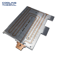 Pelat Pendingin Cair Vakum Khusus dengan Tabung Tembaga dan Alas Aluminium untuk Pendinginan CPU, GPU, Server, Pusat Data OEM