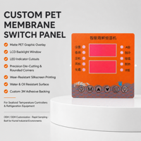 Panel de Control de Membrana con Gráficos en Relieve, Placa Frontal de Lexan PET, Panel Gráfico Personalizado para Dispositivos Electrónicos