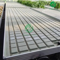 Système d'irrigation hydroponique pour serres agricoles, avec tables de culture roulantes, plateaux et bacs de semis à flux et reflux