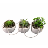 Pot de fleurs suspendu en céramique de style dessin animé émaillé pour plantes succulentes et d'intérieur, vente en gros de jardinières