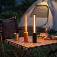 Lampe de table LED rechargeable multicolore, à intensité variable par toucher, sans fil, lumière ambiante linéaire pour restaurant, bar, décoration commerciale