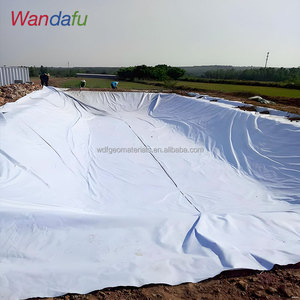 Hdpe Waterdichte Anti-Kwelgeomembrane Voering Voor Visvijvers Stortplaats Waterreservoir Afvalwater Lagune Milieu - Product Image 1