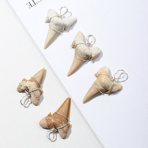 Dents fossilisées fil d'argent enveloppé fossiles dents collier pendentifs vrais fossiles préhistoriques accessoires de bijoux aléatoires - Product Image 4