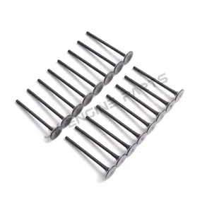 224dt इंजन सेवन निकास वाल्व जैगुर एक्स लैंड रोवर डिस्कवरी स्पोर्ट फ्रीलैंडर <span class=keywords><strong>2</strong></span> इवओक <span class=keywords><strong>2</strong></span>.2t <span class=keywords><strong>2</strong></span>.2l डीजल td4 - Product Image 3