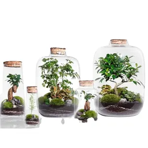 Yeni tasarım Custom Made el-üflemeli temizle cam DIY teraryum şişe ile kapalı bahçe için mantar şekilli kapak
