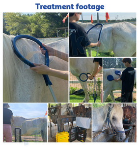 Máquina PEMF de Alta Potencia para Caballos con Doble Control para Relajar los Músculos Tensados y Aliviar el Estrés Físico - Product Image 6