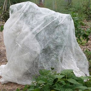 Tissu non tissé respirant en polypropylène (PP) pour l'agriculture, isolation du sol - Product Image 1