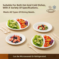 Assiette jetable pour repas, 3 compartiments, 100% compostable, imperméable, en bagasse de canne à sucre