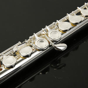 Instrument de flûte en C nickelé à 16 trous ouvert/fermé, niveau d'examen débutant vent occidental, clé E universelle, ténor professionnel - Product Image 3