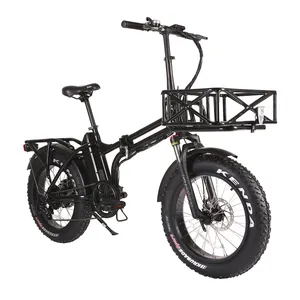 접이식 전기 자전거 자동차 트렁크는 하이 퀄리티 Ebike를 수용 할 수 있습니다.