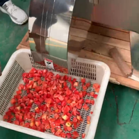 SHENGHE Hoge Prestatie Aangepaste Multifunctionele Fruit- en Groente Snijmachine - 1 Jaar Garantie 380V/220V/110V