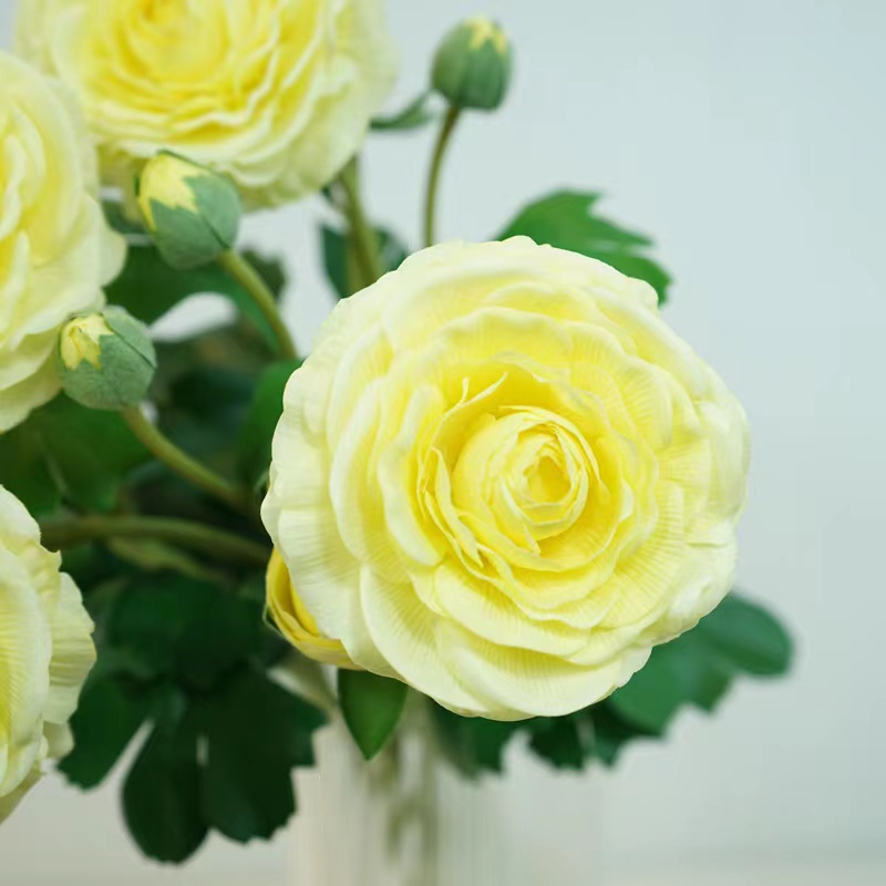 Jaune