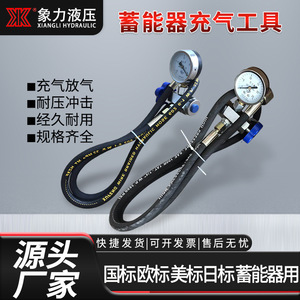 Elephant <b>Plain</b> Nitrogen Filling <b>Tool</b> 16/25/40MPA Steel Connector Hydraulic <b>Tools</b> Accessories - Product Image 5