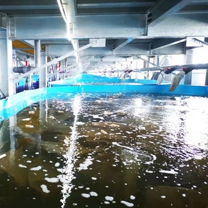 บ่อเลี้ยงปลาพับได้ Keystar KSD-004 ทำจากพลาสติก PVC ดีไซน์ทรงสี่เหลี่ยมแบบยืดหยุ่น พร้อมระบบกรอง สำหรับการเลี้ยงปลา - Product Image 5