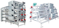 Solutions Complètes pour l'Élevage de Volailles : Équipement de Cage d'Élevage de Poulets de Chair Type H avec Système Automatique d'Évacuation du Fumier pour Ferme