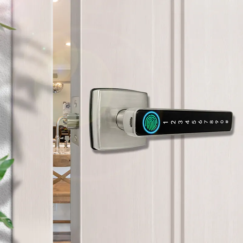 Aidmi antifurto impermeabile ad alto riconoscimento con Senha dell'impronta digitale Tuya TTlock Home Apartment Smart Lock