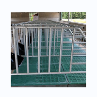 Nouvelle cage de gestation pour porcs KERUIJIA pour élevage, avec une capacité de charge élevée, en acier inoxydable, traitement de surface galvanisé à chaud