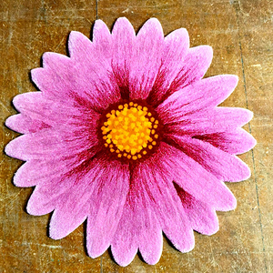 <span class=keywords><strong>Tappeto</strong></span> da Cucina Girasole, Tappeti e Moquette Personalizzati Automatici, Grandi Tappeti Soffici per Soggiorno, <span class=keywords><strong>Tappeto</strong></span> Acrilico con Immagini - Product Image 1