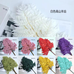 Fiori Secchi e <span class=keywords><strong>Felce</strong></span> in Pelle Preservata Best Seller per Decorazioni Domestiche per la Celebrazione del Capodanno Cinese - Product Image 5